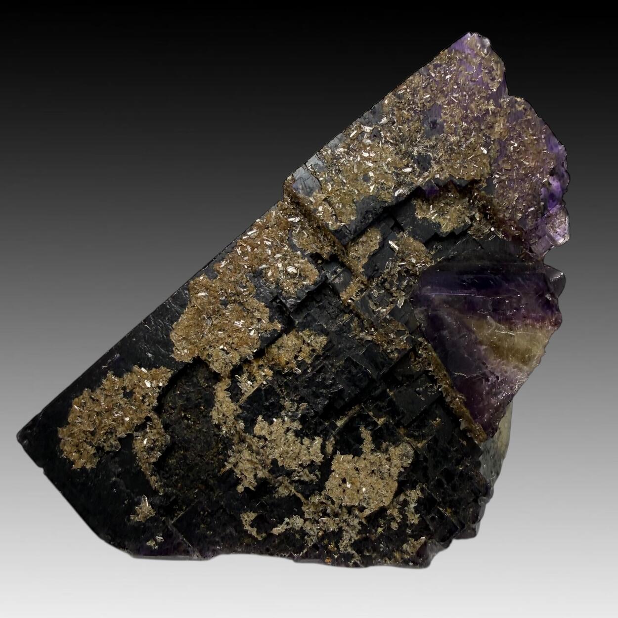 Fluorite With Baryte