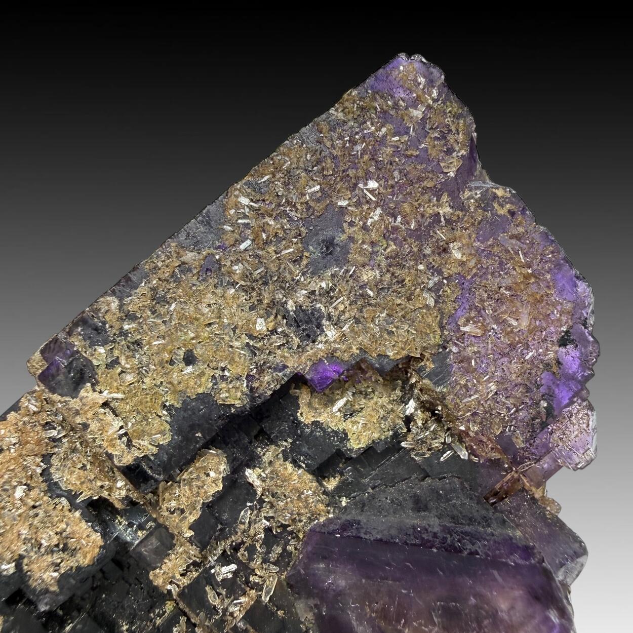 Fluorite With Baryte