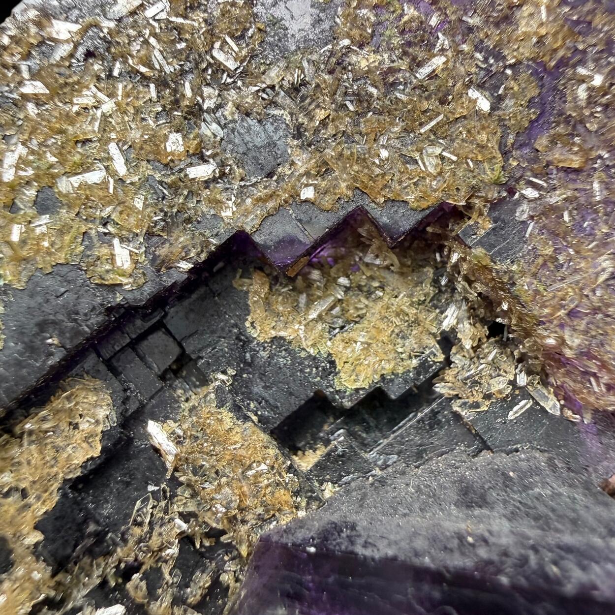 Fluorite With Baryte