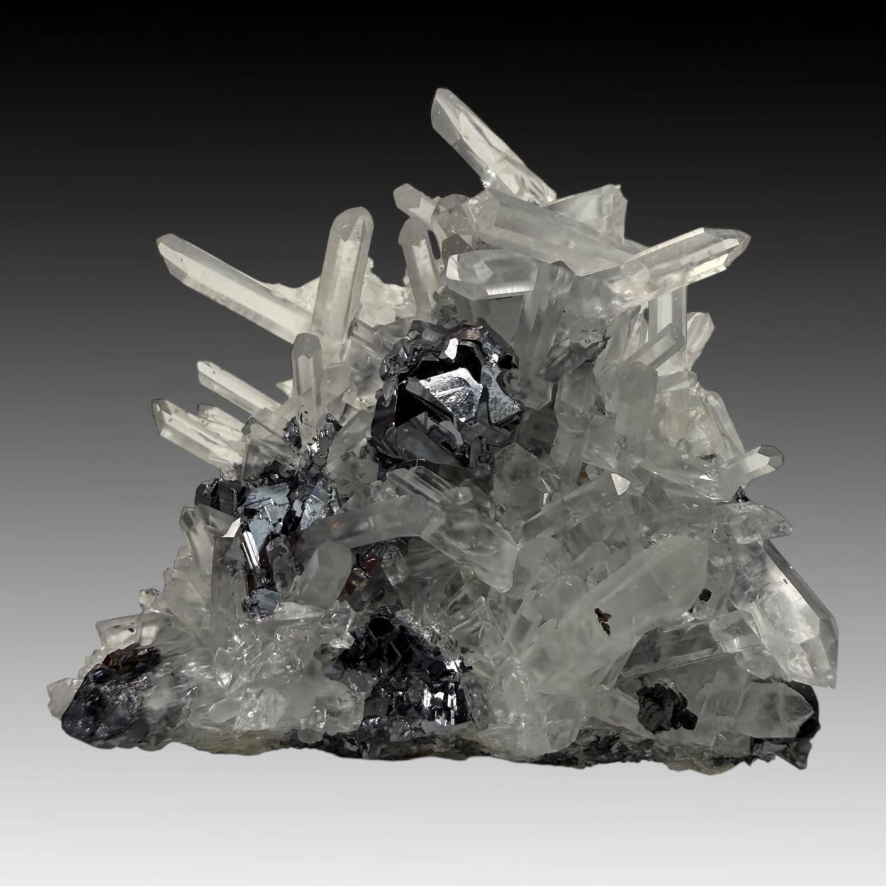 Galena With Quartz