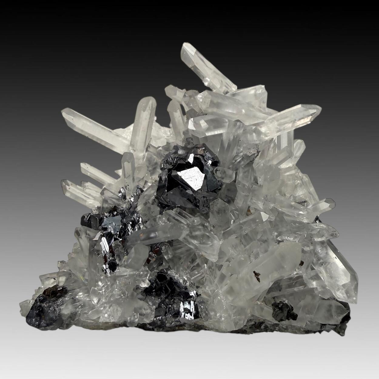 Galena With Quartz