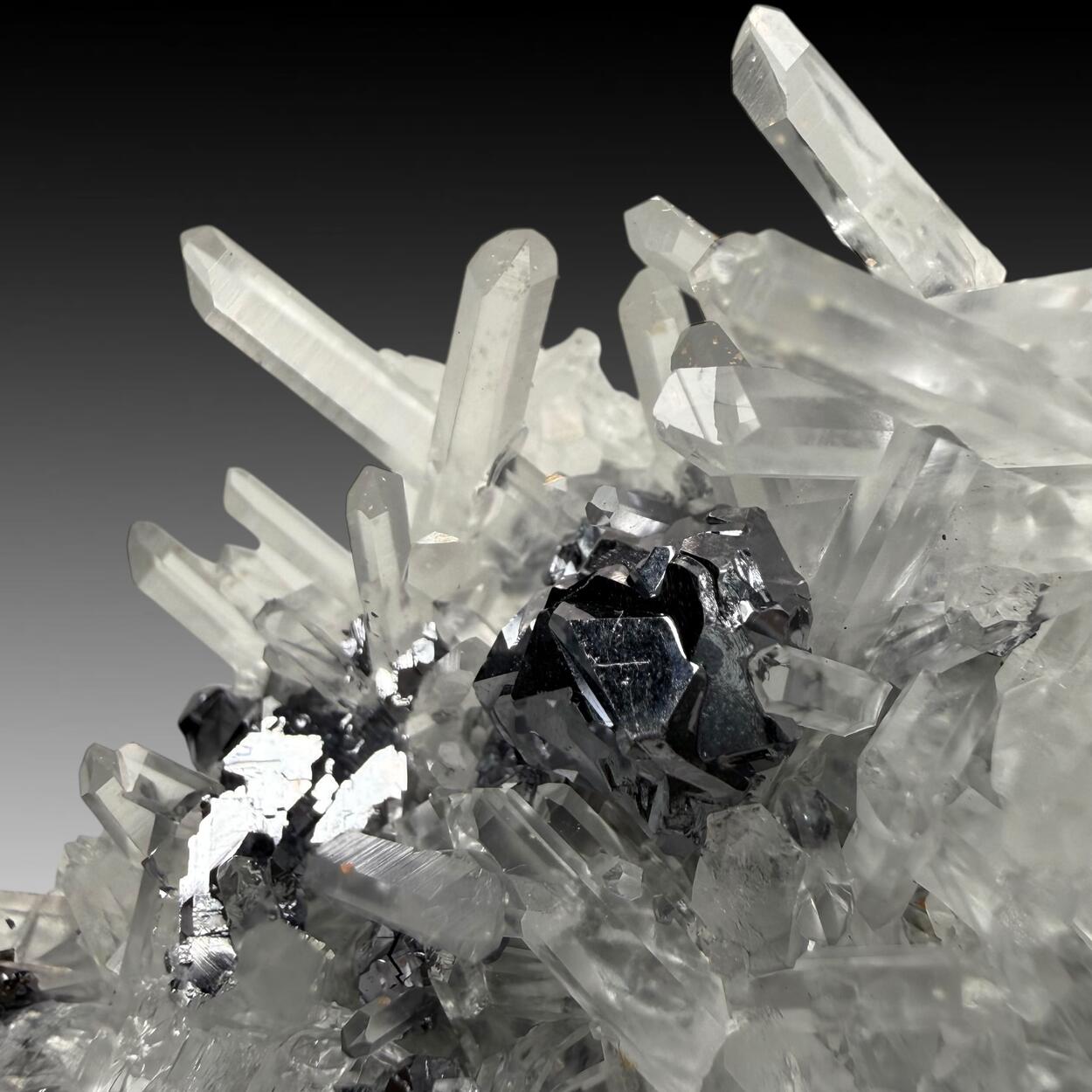 Galena With Quartz