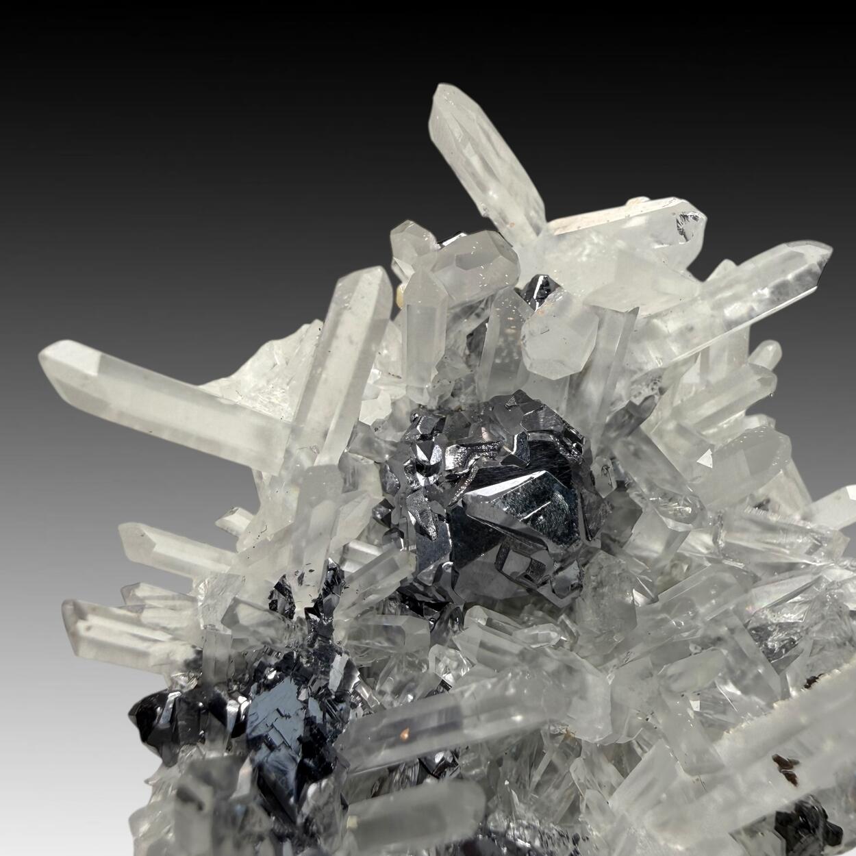 Galena With Quartz