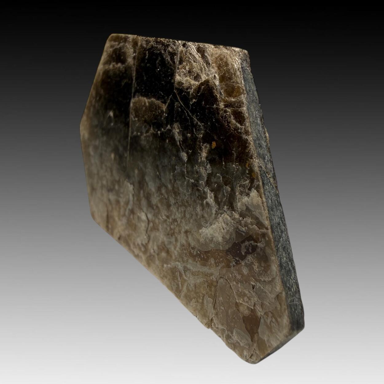 Phlogopite
