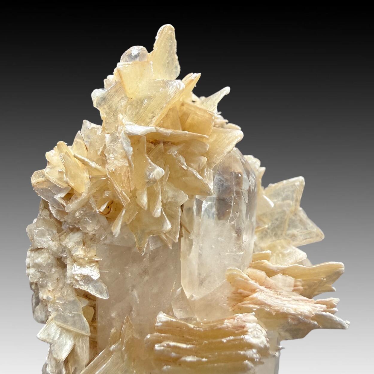 Star muscovite On Quartz