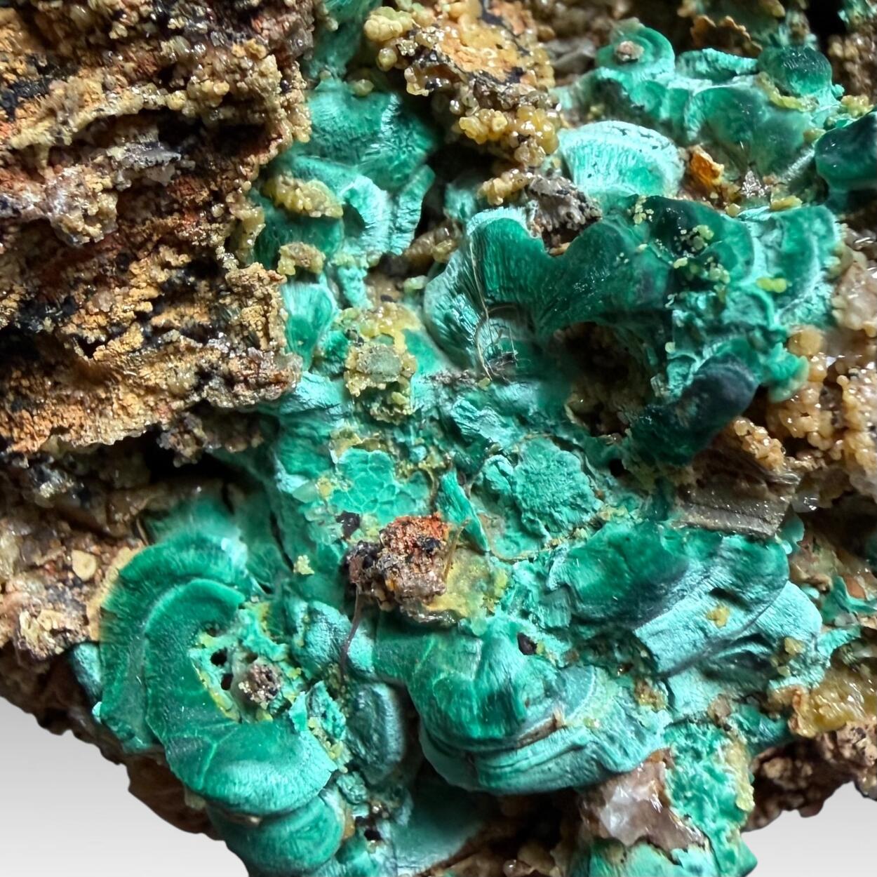 Malachite & Pyromorphite