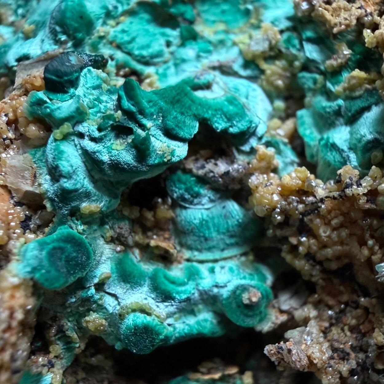 Malachite & Pyromorphite