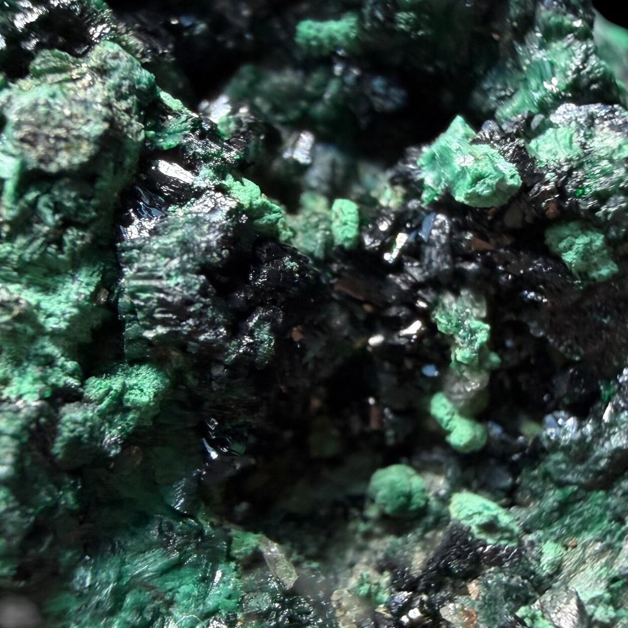 Antlerite & Brochantite