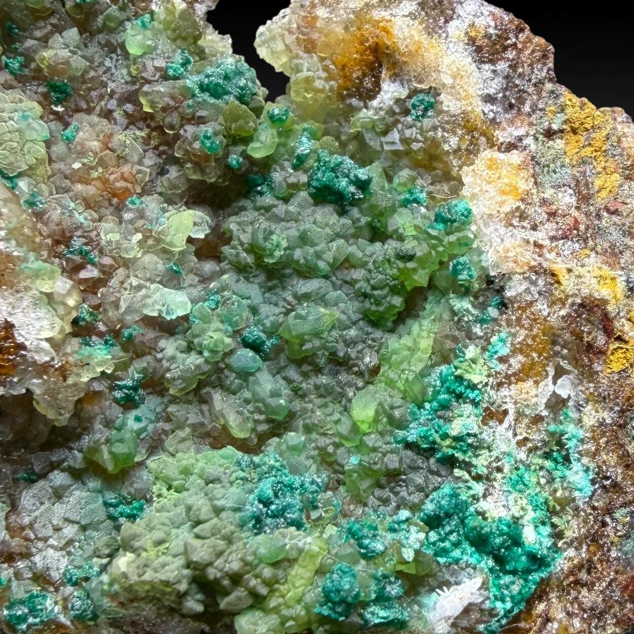 Cornwallite & Brochantite On Quartz