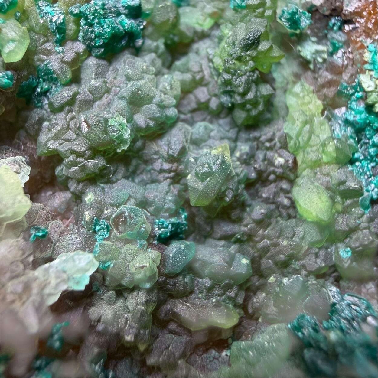 Cornwallite & Brochantite On Quartz