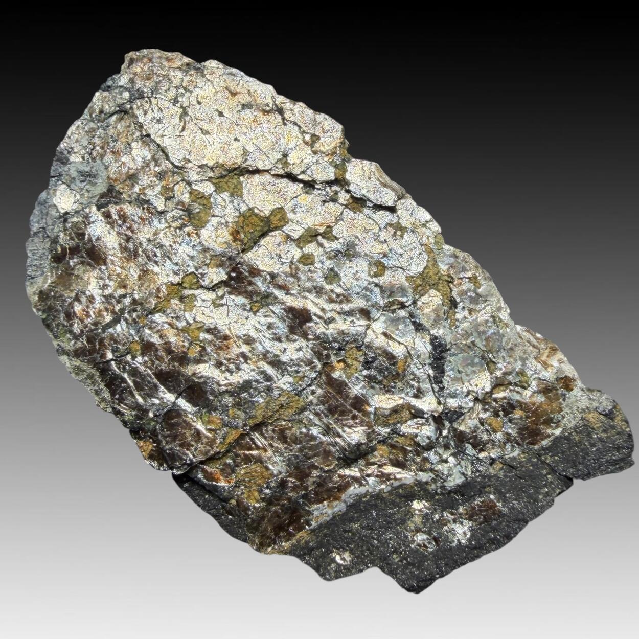 Phlogopite With Zirconolite & Apatite