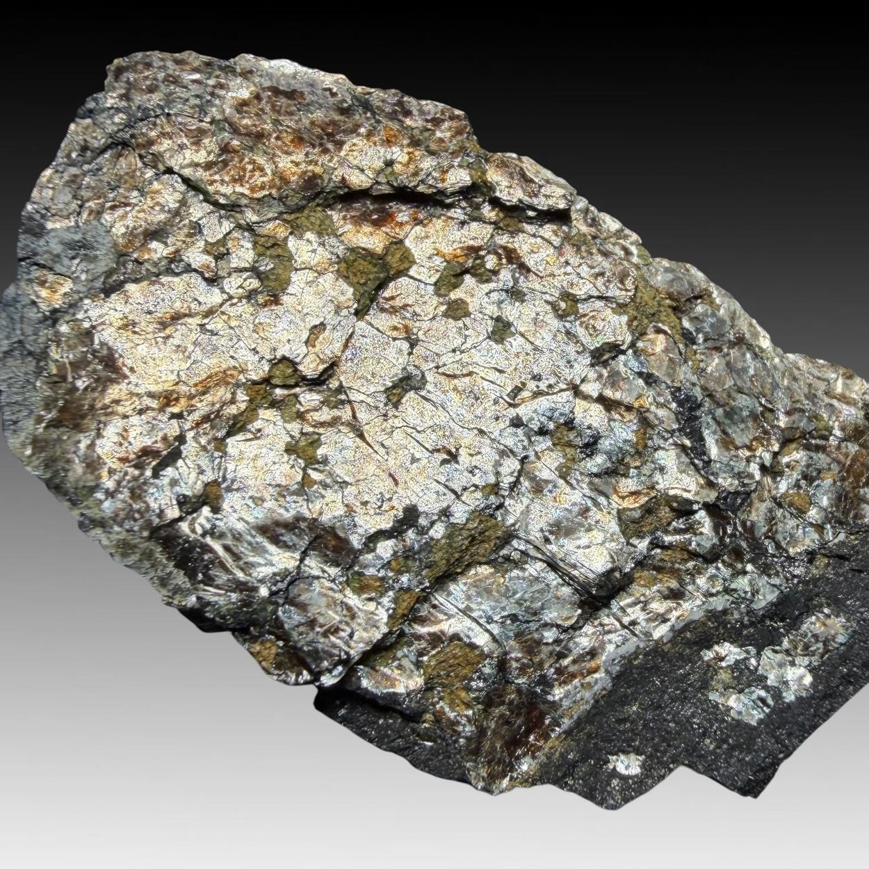 Phlogopite With Zirconolite & Apatite