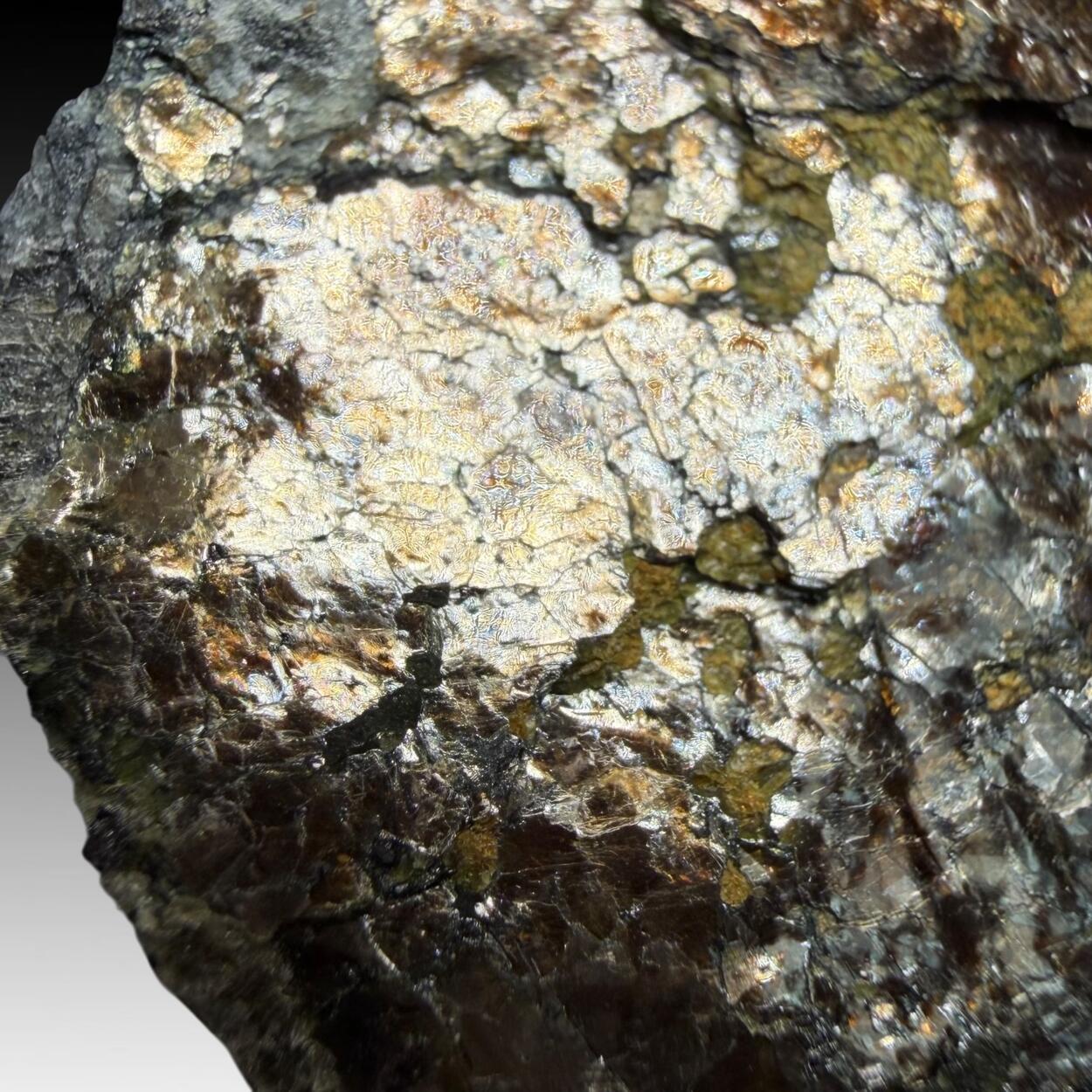 Phlogopite With Zirconolite & Apatite