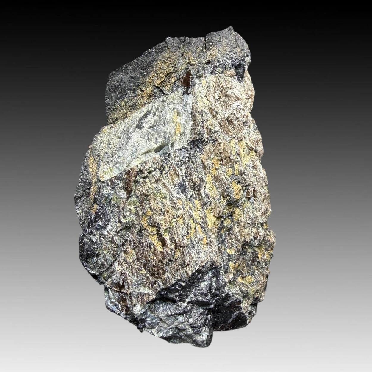Phlogopite With Zirconolite & Apatite