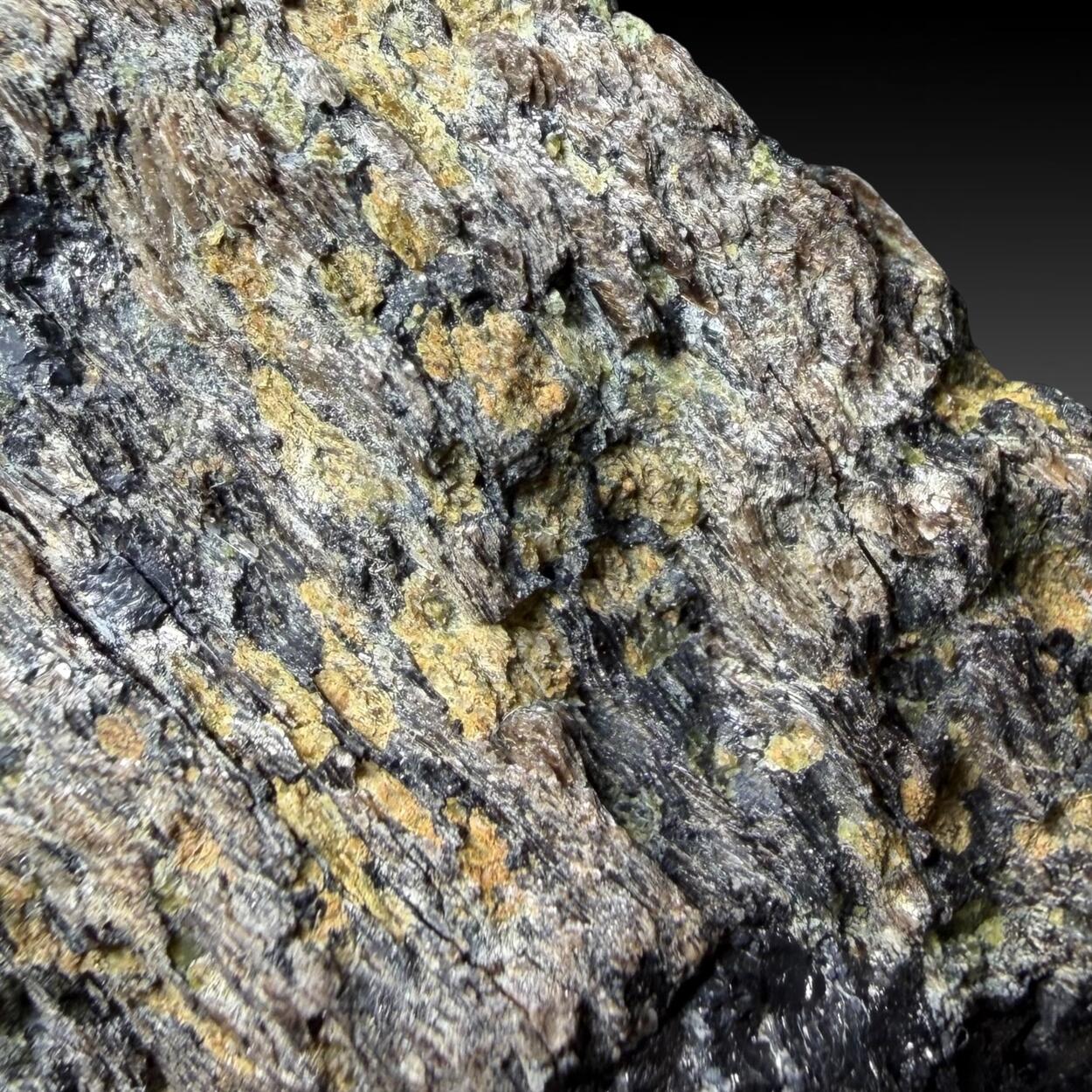 Phlogopite With Zirconolite & Apatite