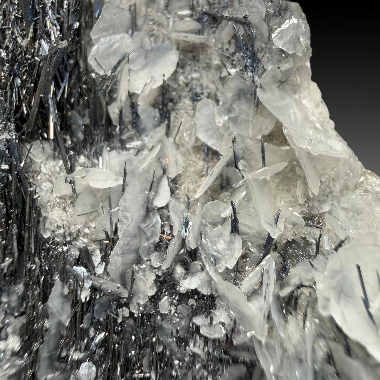 Stibnite & Calcite