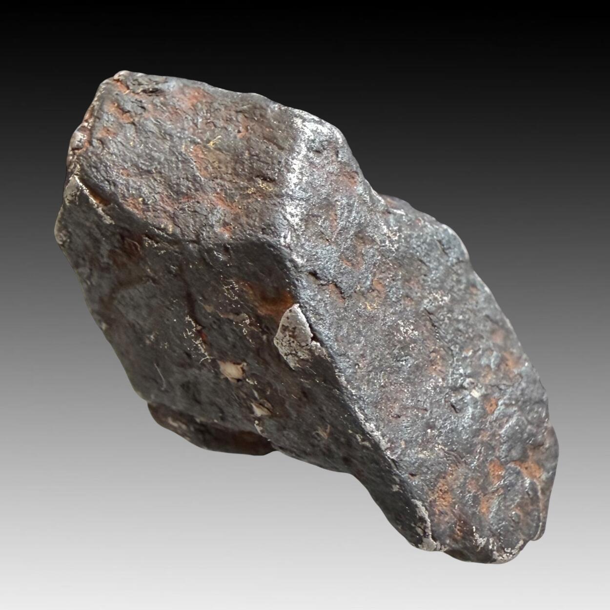 Gibeon Meteorite
