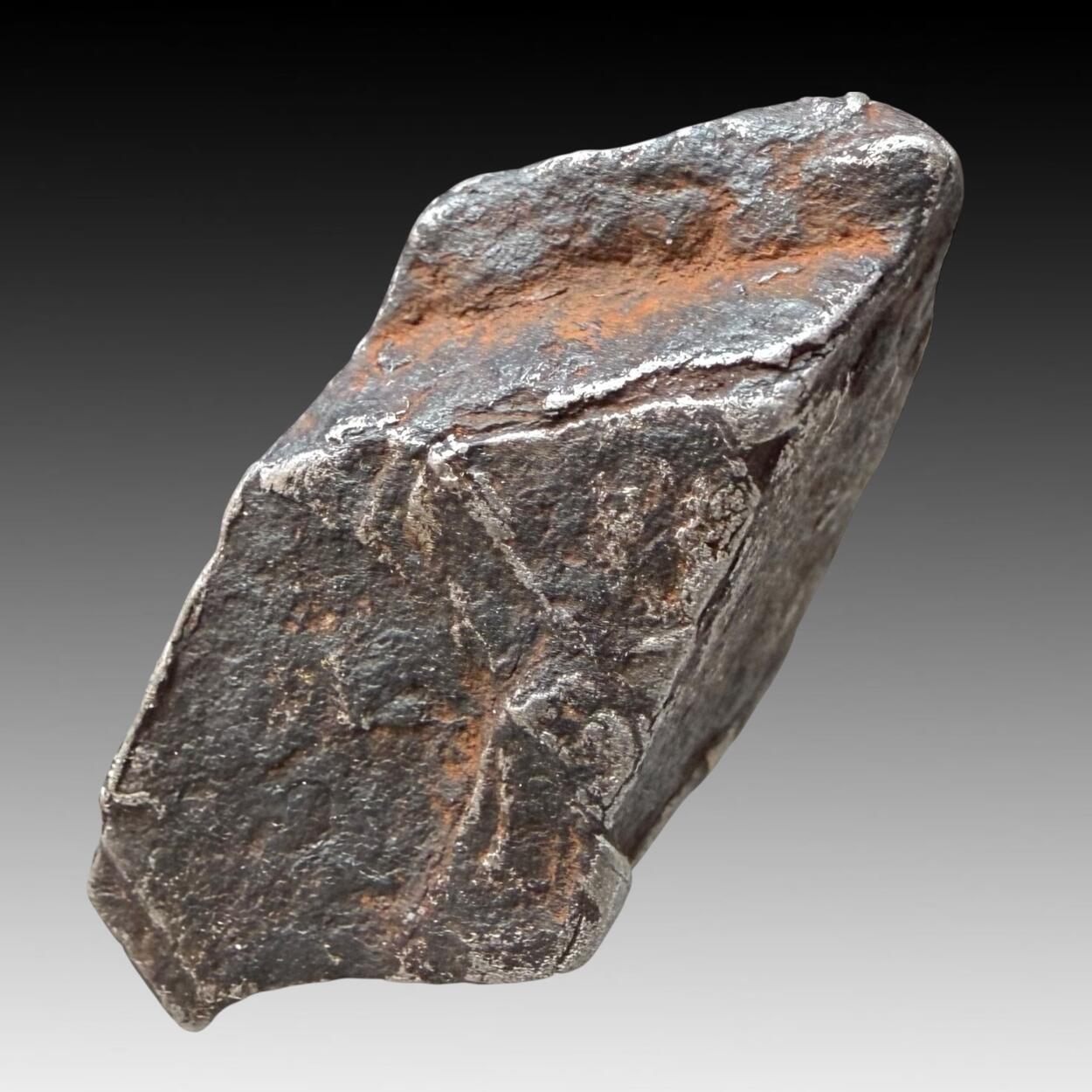Gibeon Meteorite