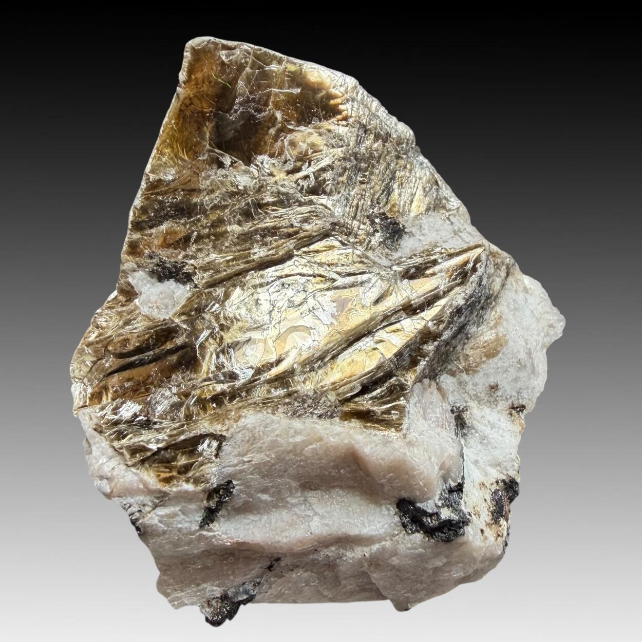 Polylithionite