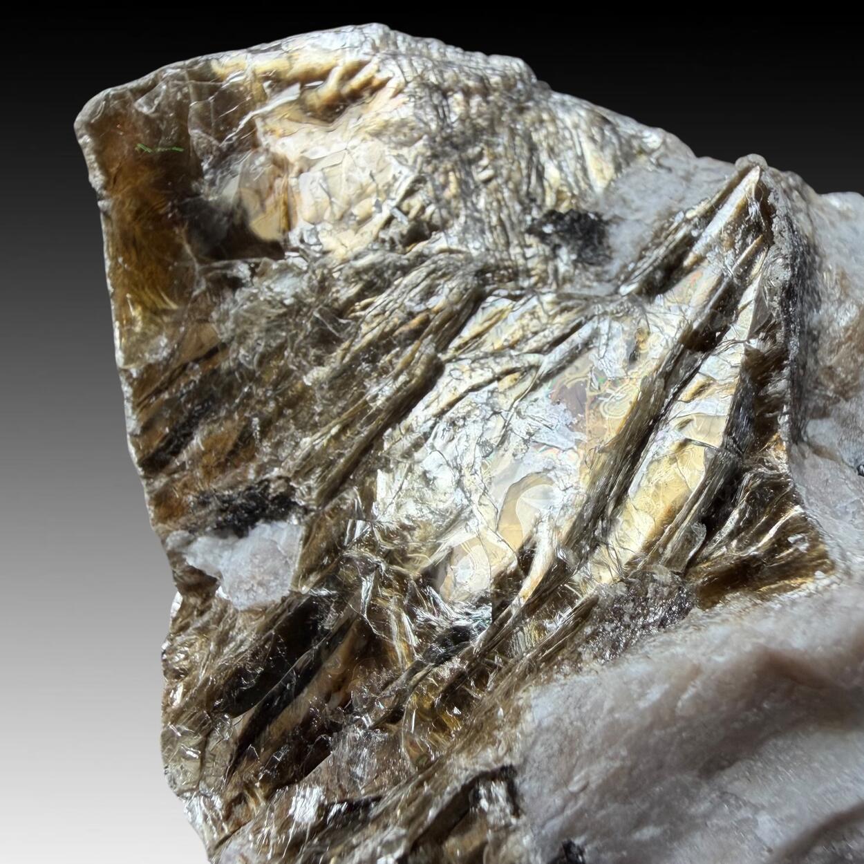 Polylithionite