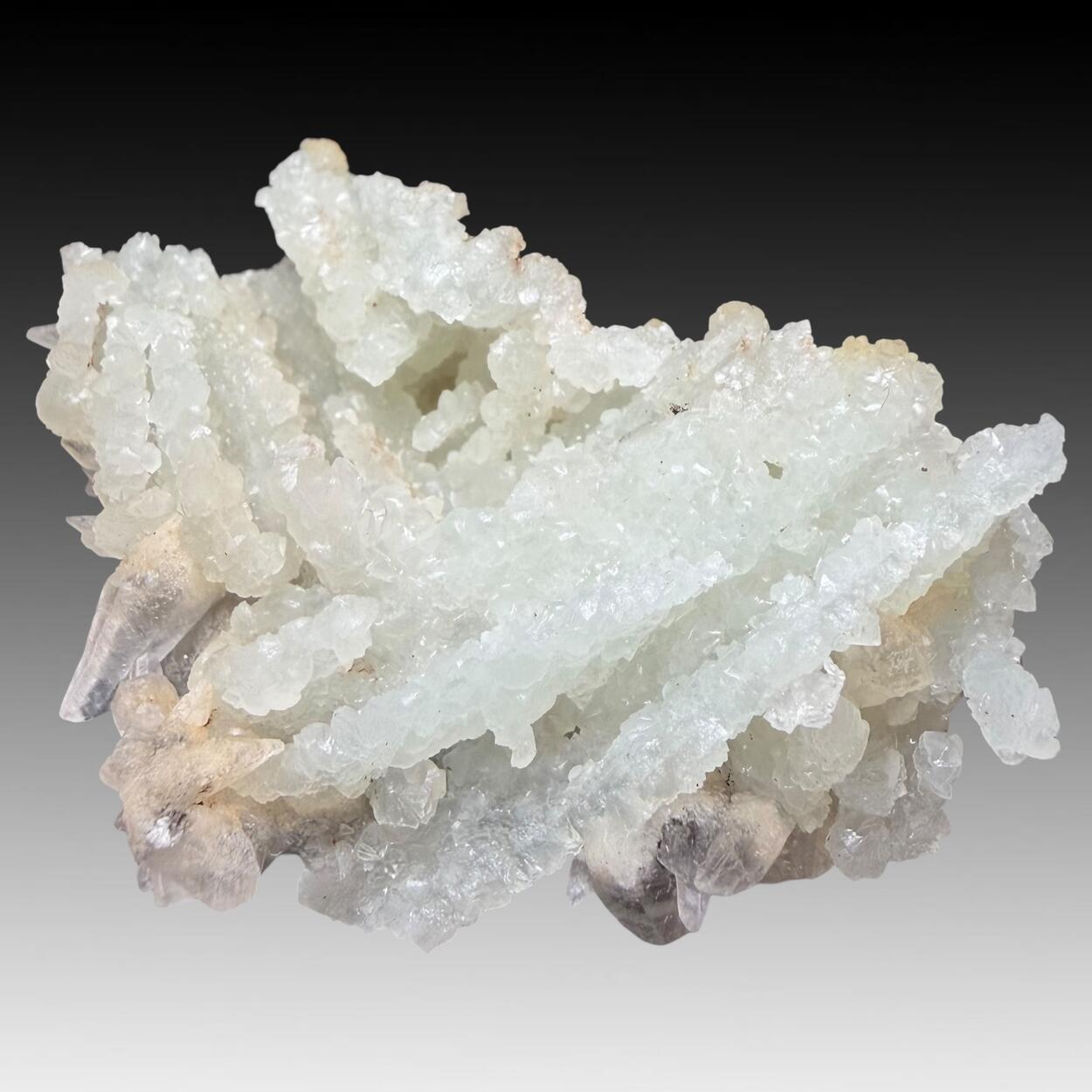 Prehnite Psm Laumontite & Calcite