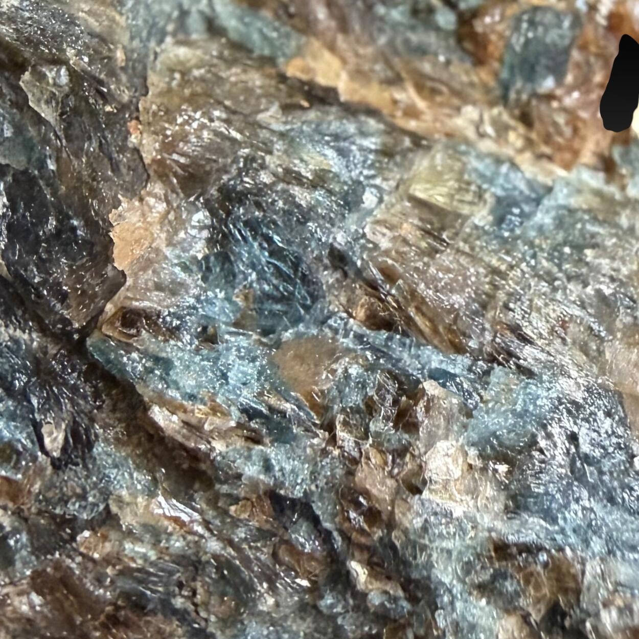 Sapphirine & Phlogopite