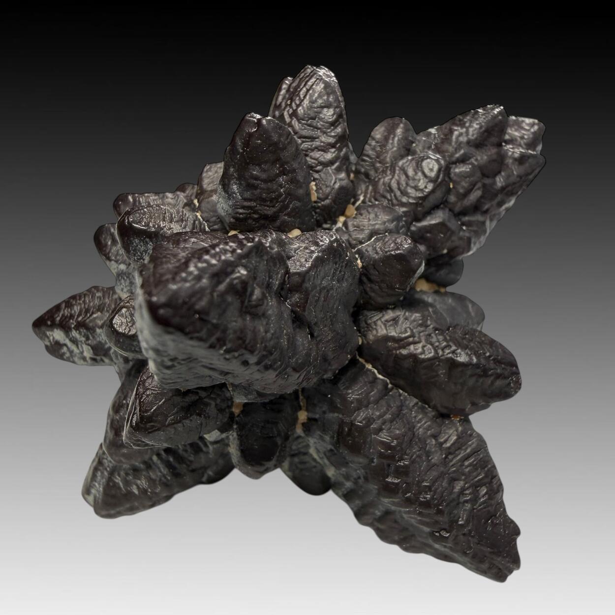 Limonite Psm Marcasite