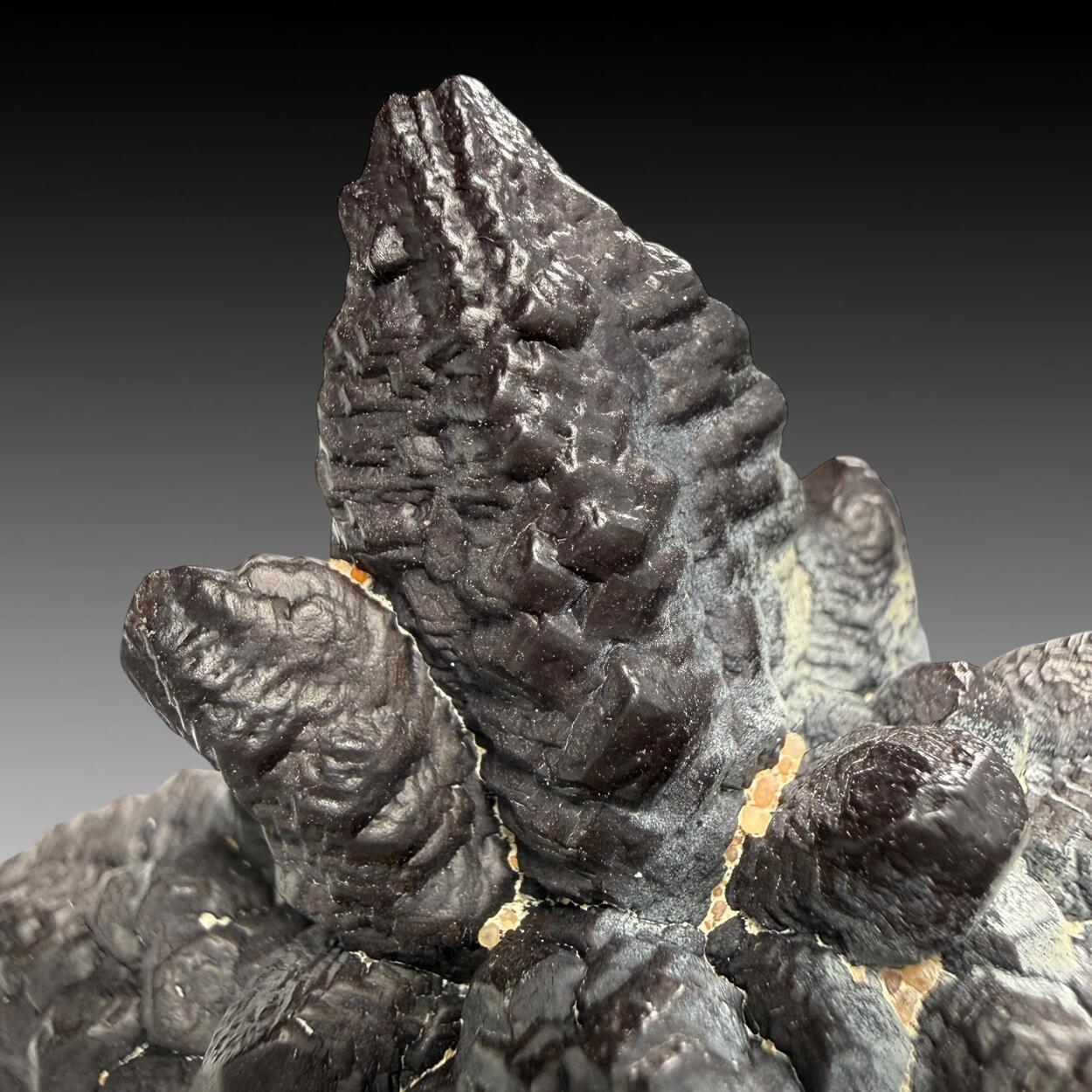 Limonite Psm Marcasite