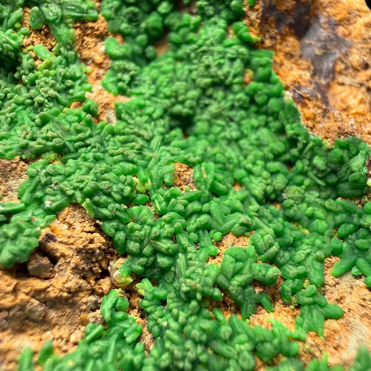 Conichalcite