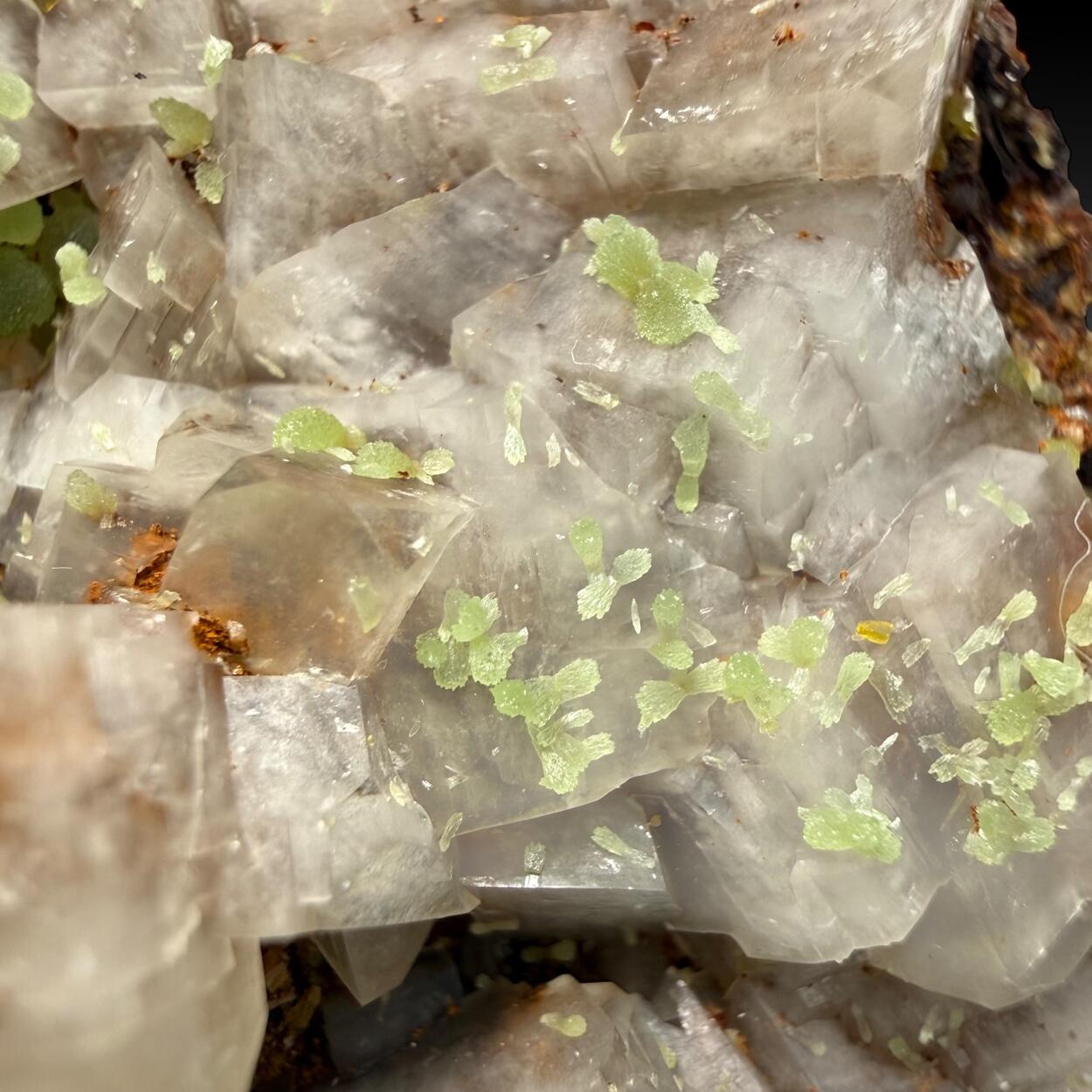 Mimetite & Wulfenite On Calcite