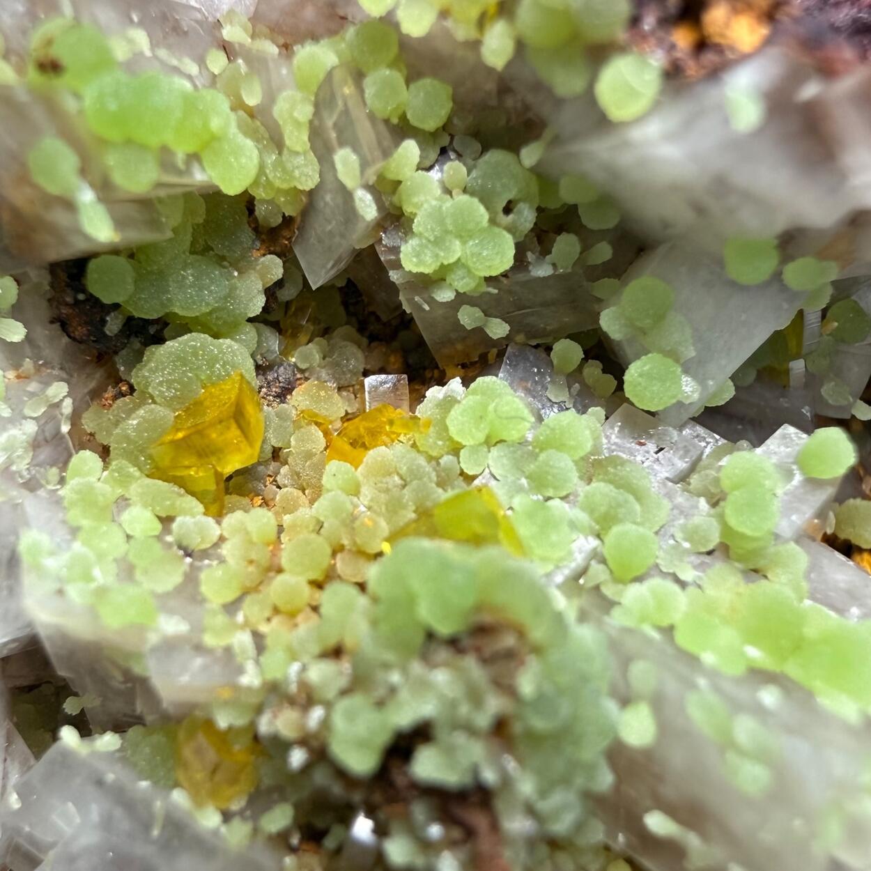 Mimetite & Wulfenite On Calcite