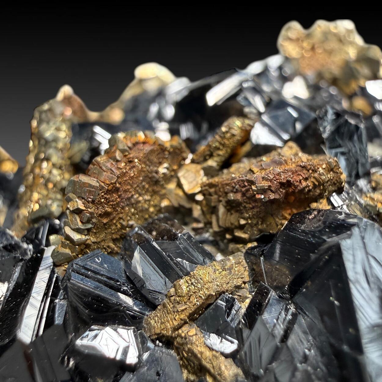 Pyrrhotite With Sphalerite & Pyrite Psm Pyrrhotite