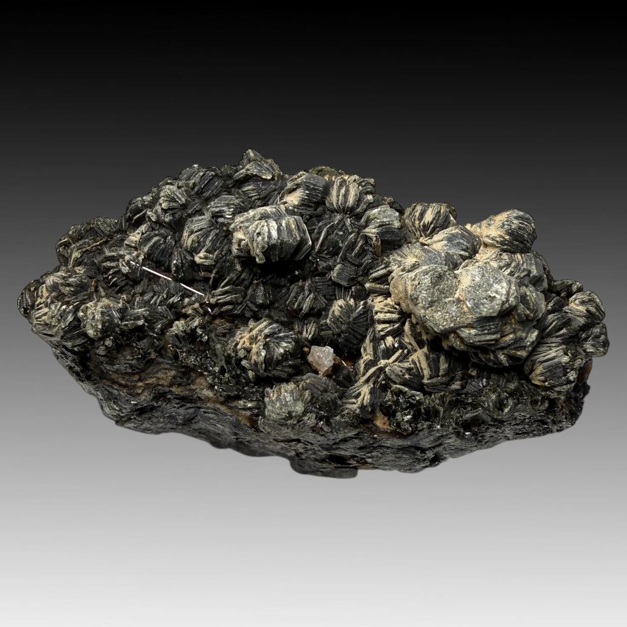 Clinochlore & Rutile