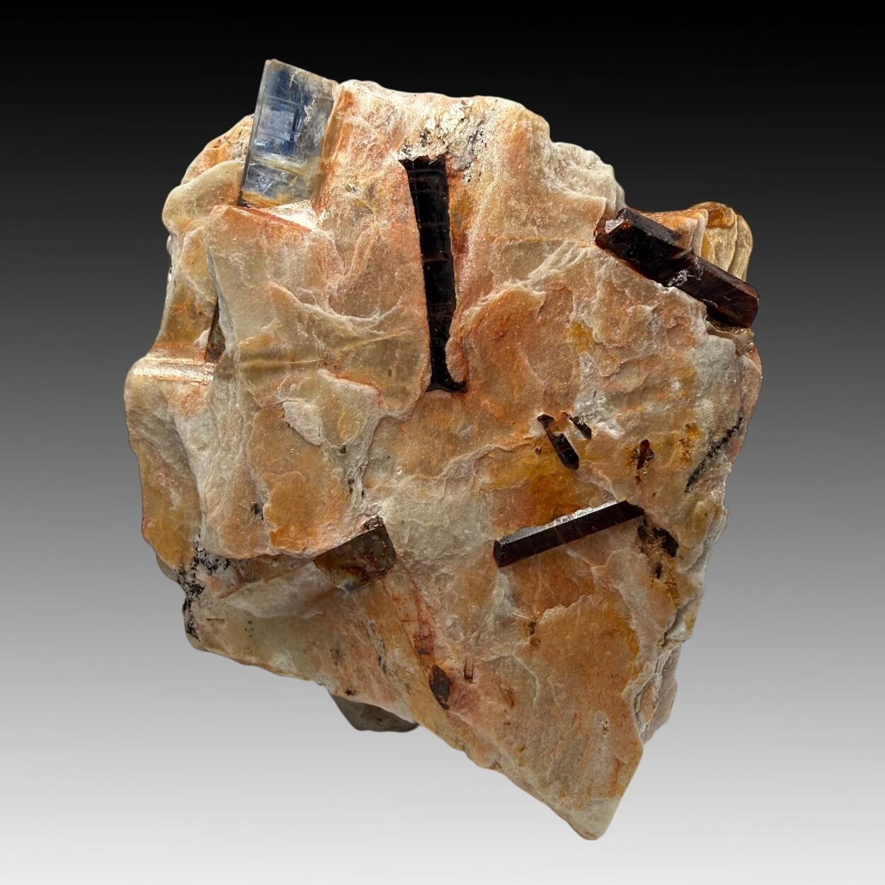 Kyanite & Staurolite