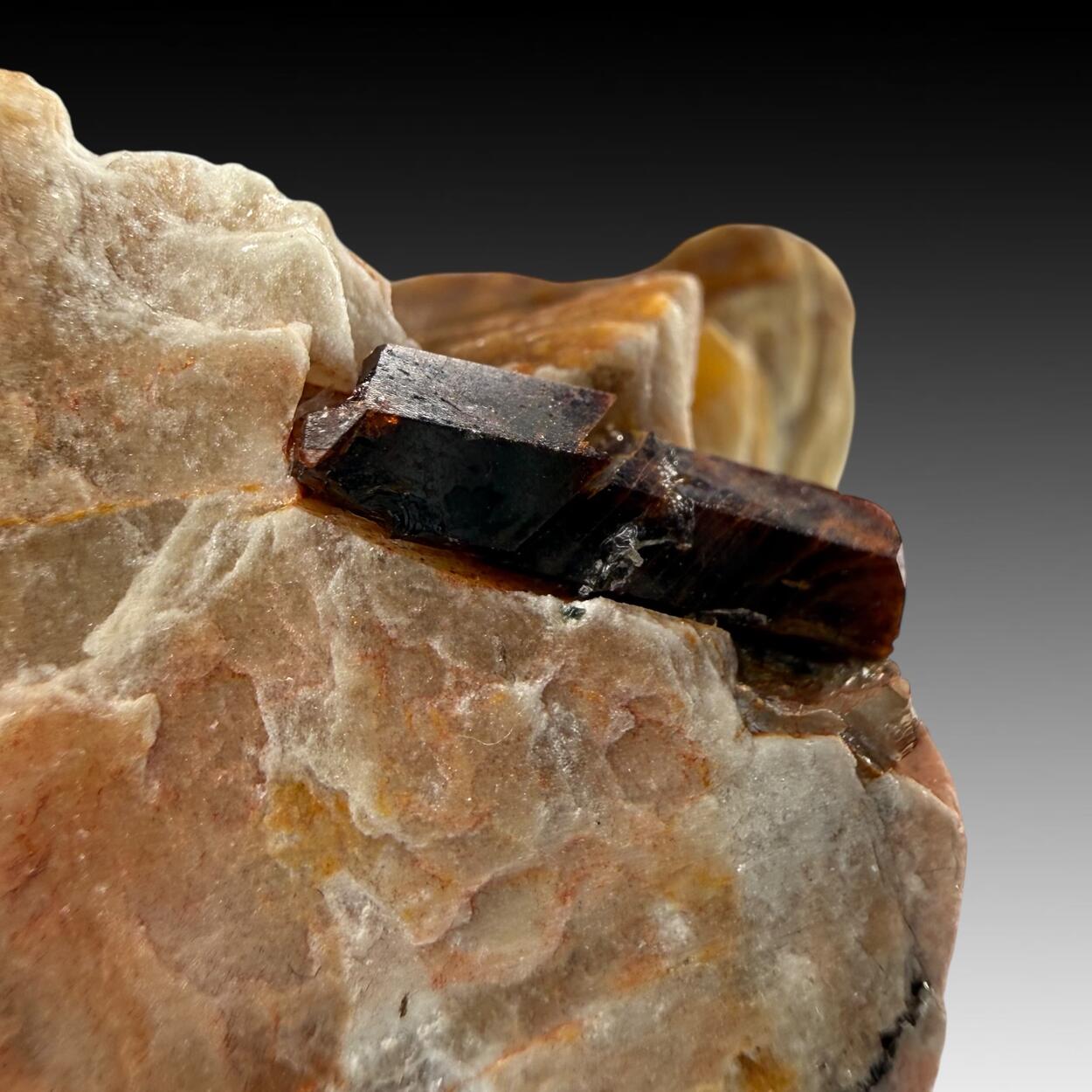 Kyanite & Staurolite