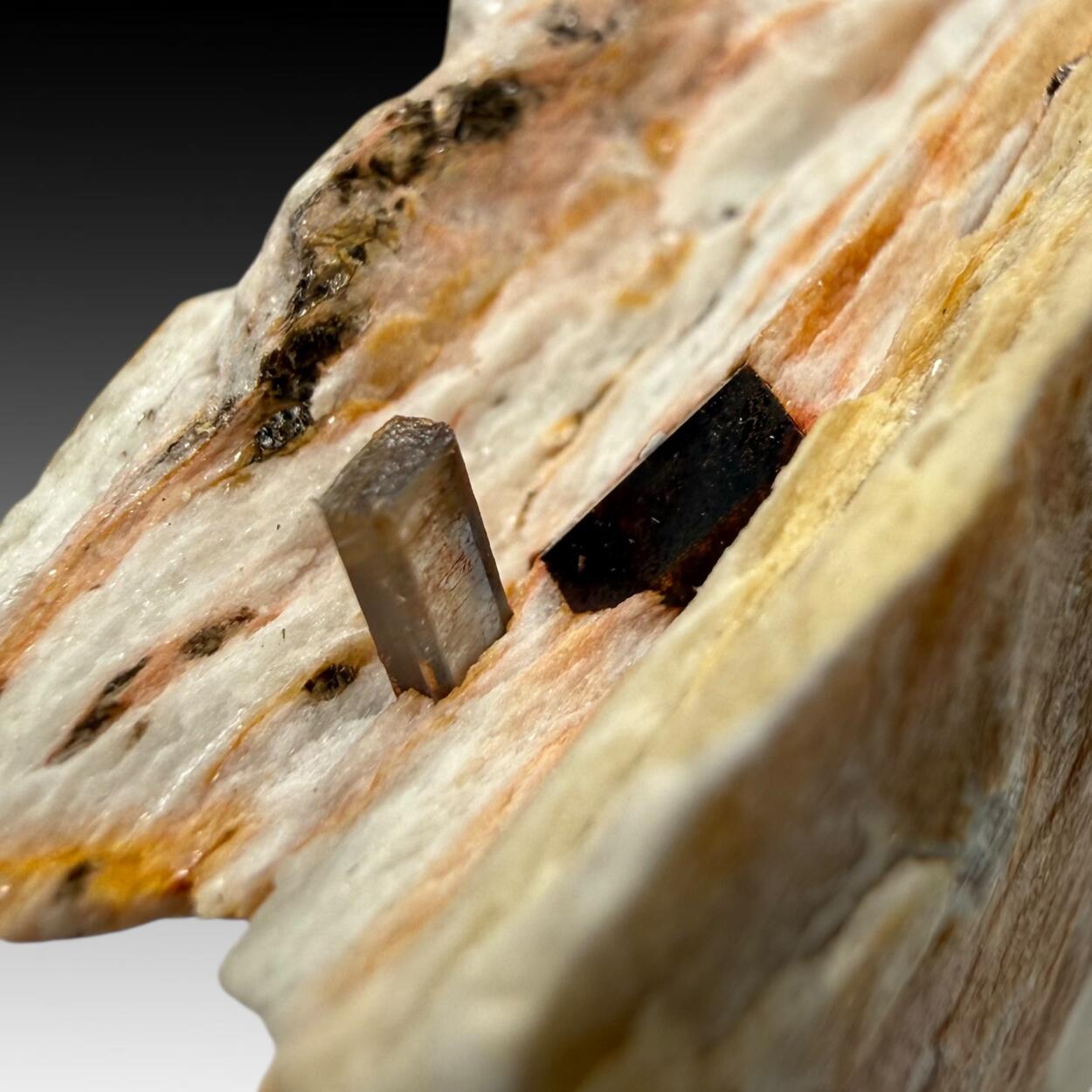 Kyanite & Staurolite