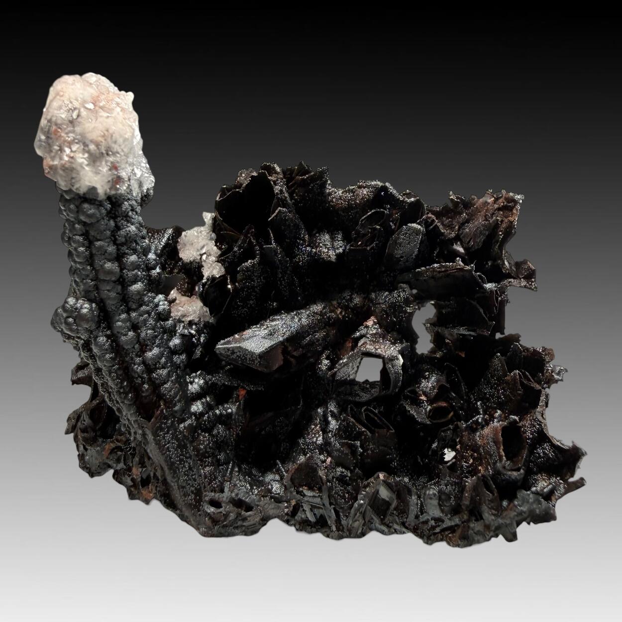 Goethite Psm Selenite With Calcite