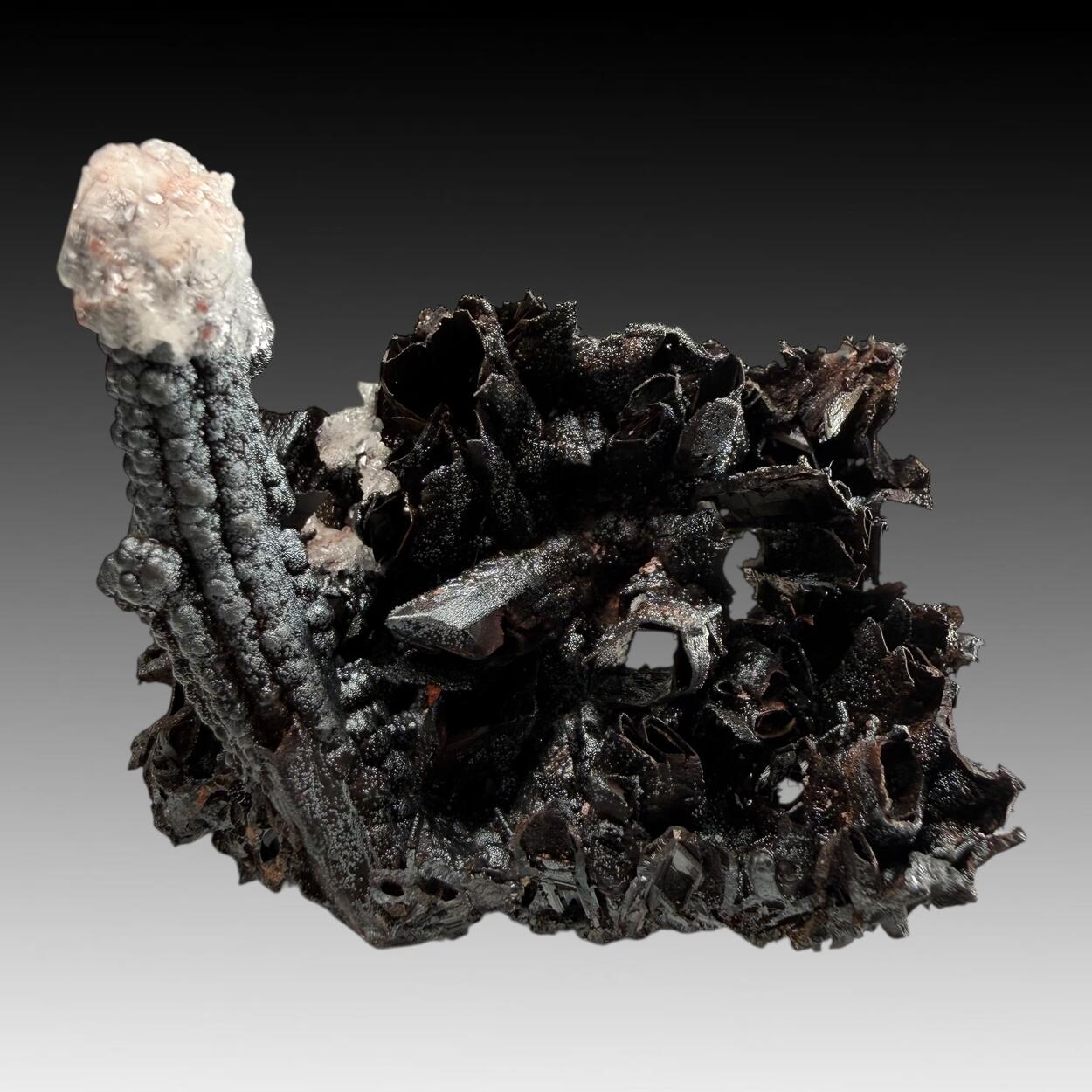 Goethite Psm Selenite With Calcite