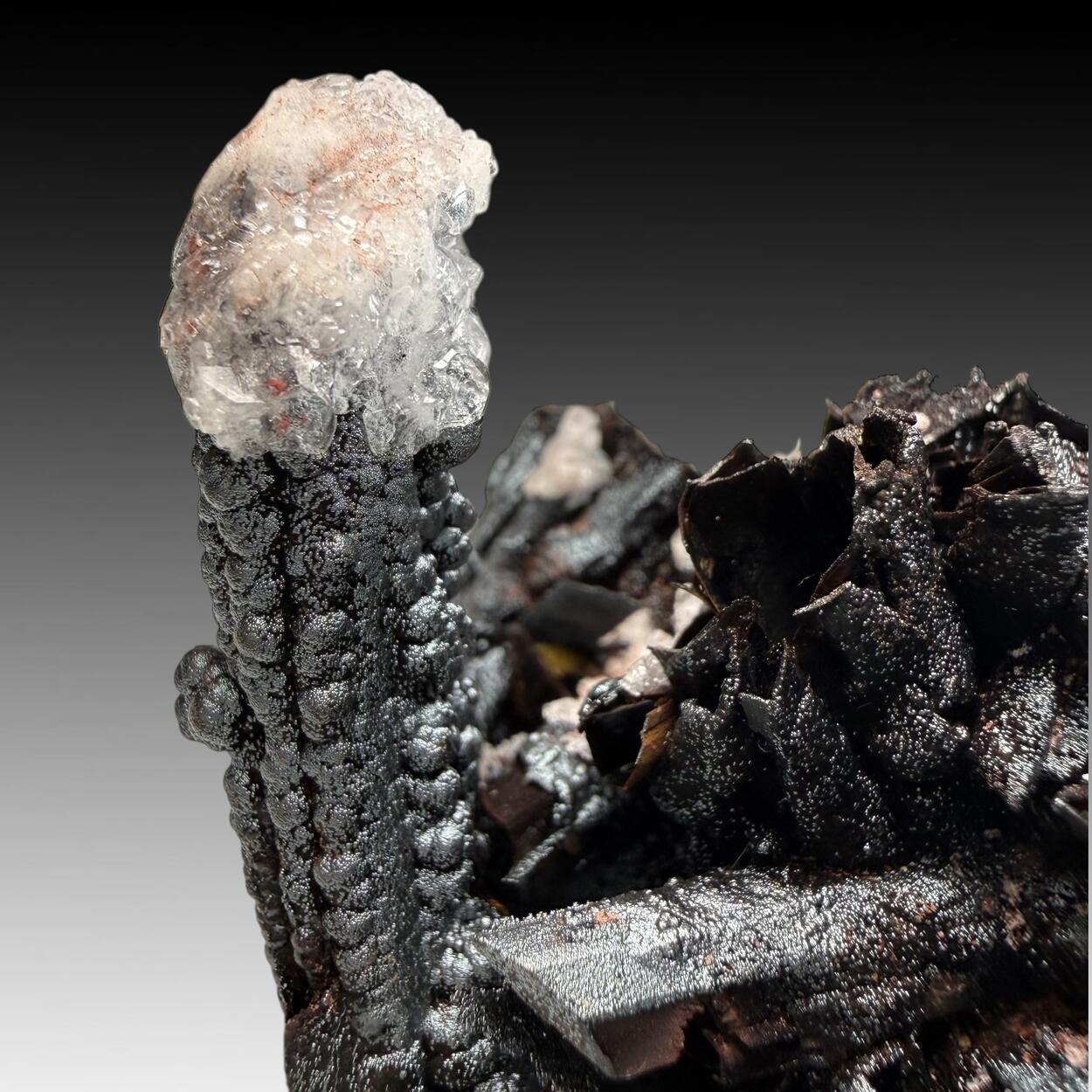 Goethite Psm Selenite With Calcite