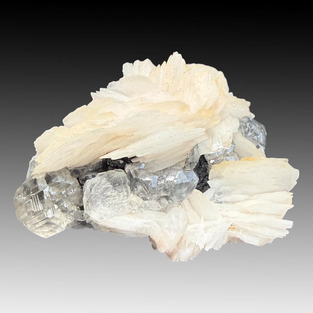 Baryte & Cerussite