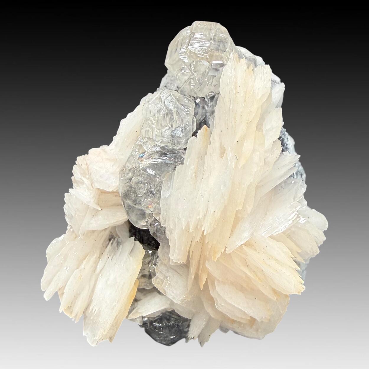 Baryte & Cerussite