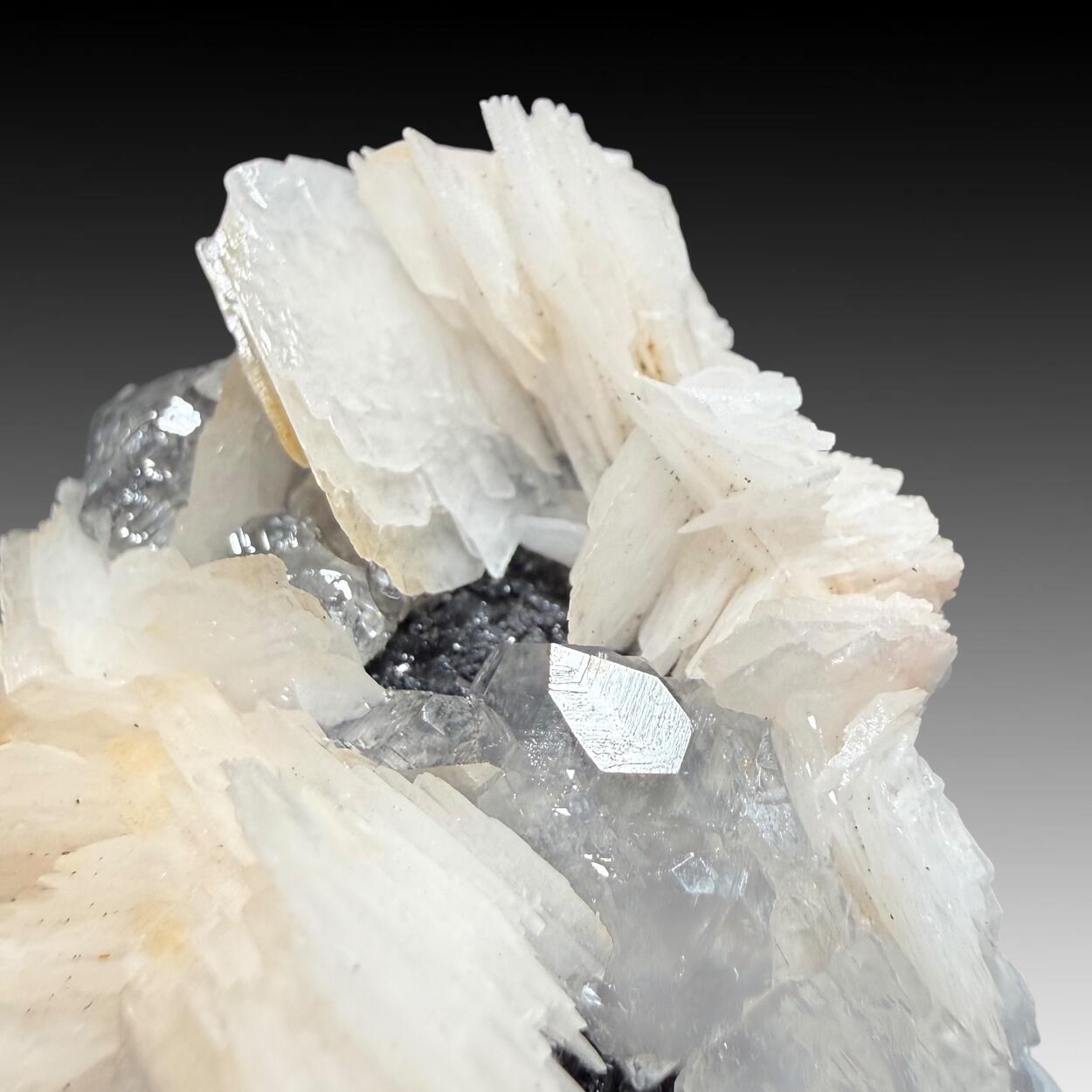 Baryte & Cerussite