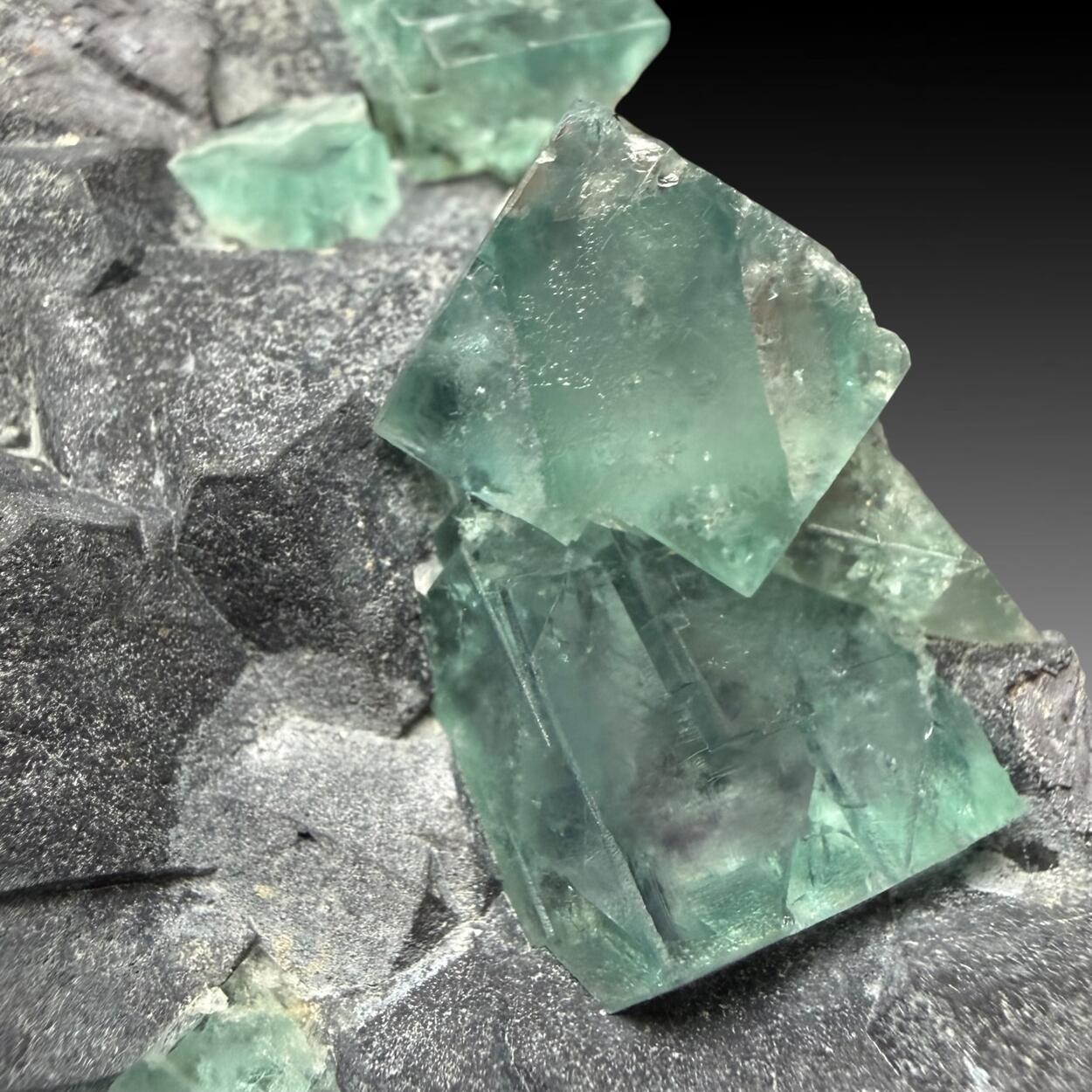 Galena & Fluorite