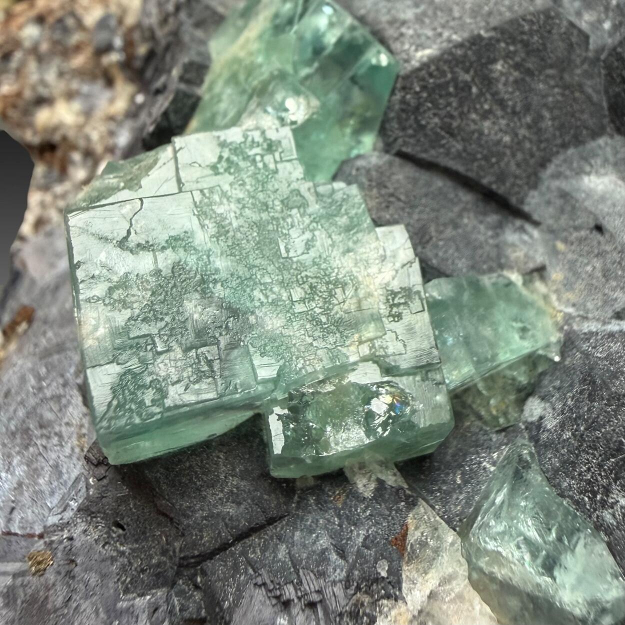 Galena & Fluorite