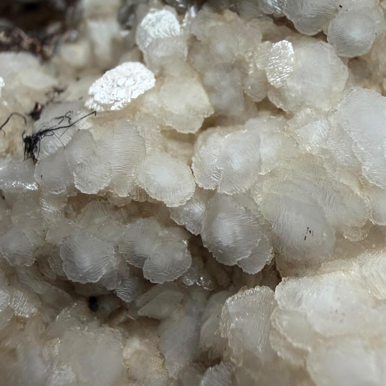 Native Silver & Calcite