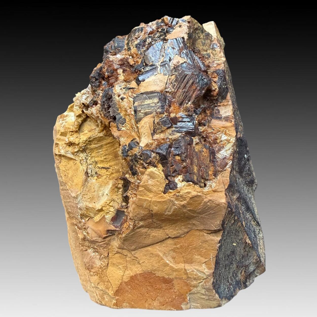Limonite Psm Pyrite