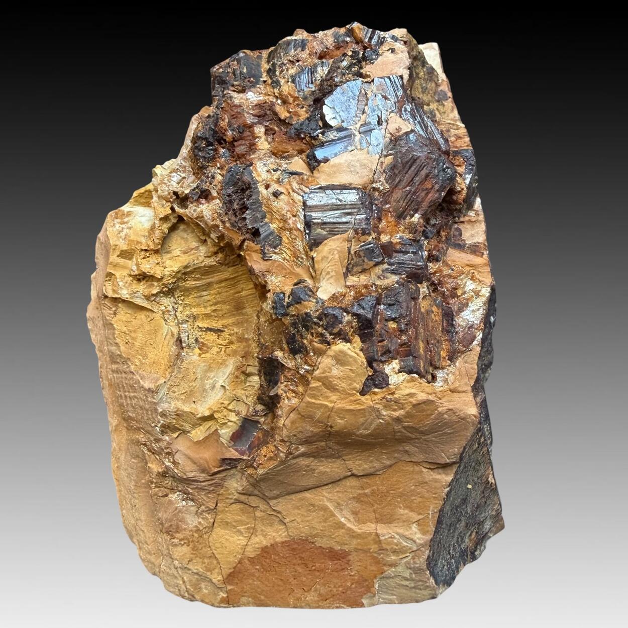 Limonite Psm Pyrite
