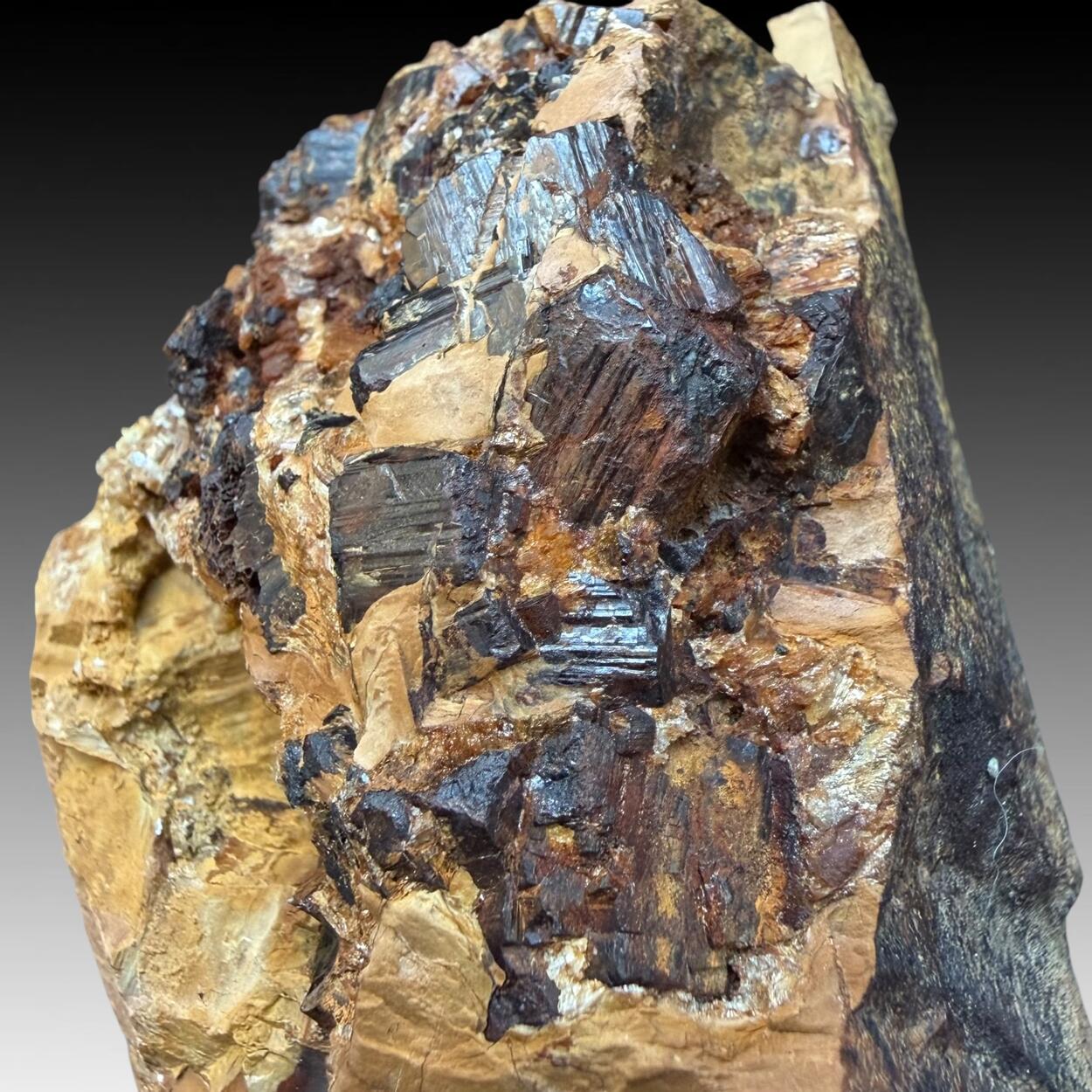Limonite Psm Pyrite