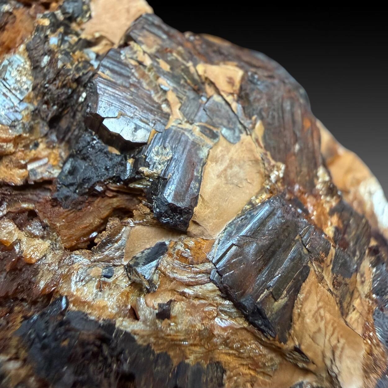 Limonite Psm Pyrite