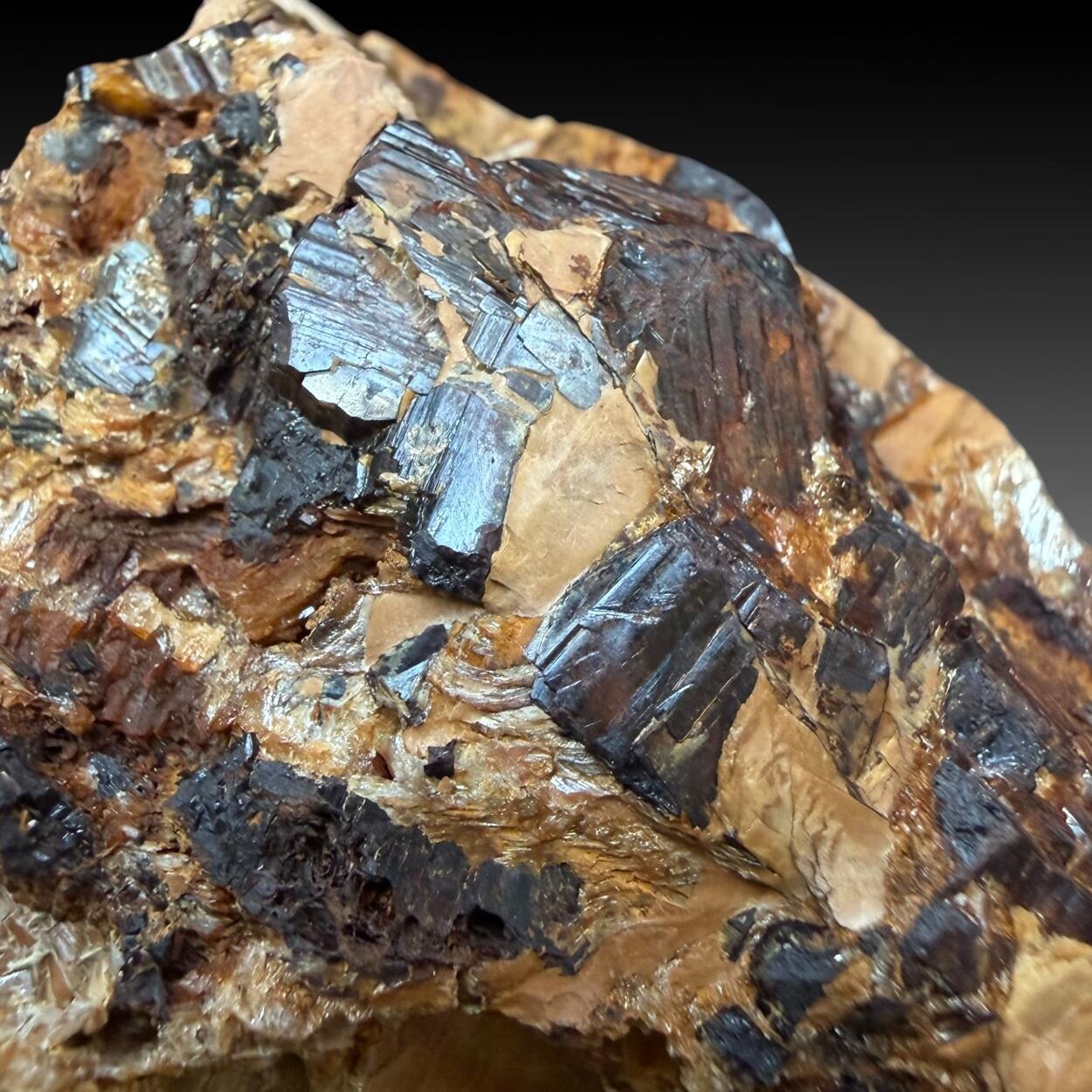 Limonite Psm Pyrite